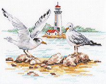 Отмель. Чайки