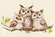 0-210 Owls